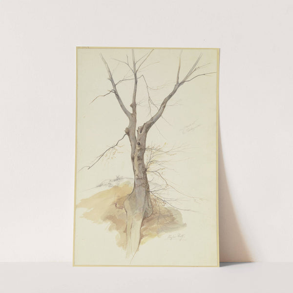 Leafless tree by Stephan Rauh