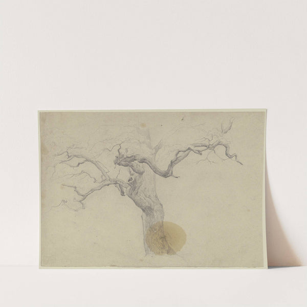 Leafless tree by Jakob Becker
