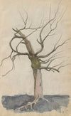 Leafless tree (1885)