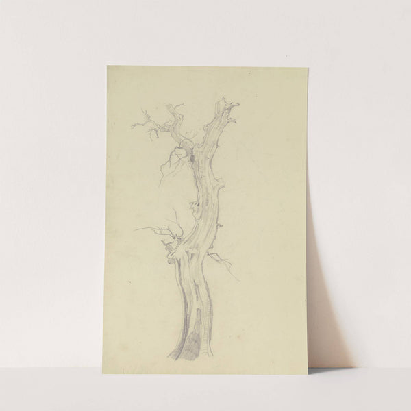 Leafless tree (1830 – 1831) by August Lucas
