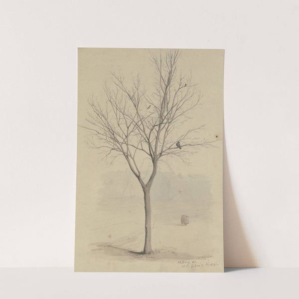 Leafless tree with birds (1860) by Hans Thoma