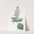 Leafy Mexican Sage (1815-1819) by Sydenham Edwards