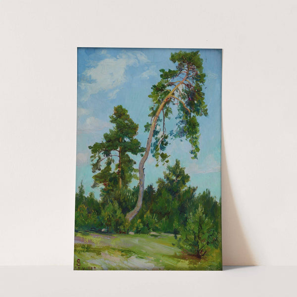 Leaning Pine by Ambroży Sabatowski