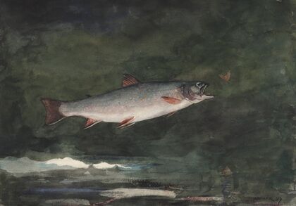 Leaping Trout (1889)
