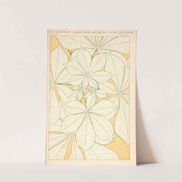 Leaves from Nature No. 1 (1910) by Owen Jones