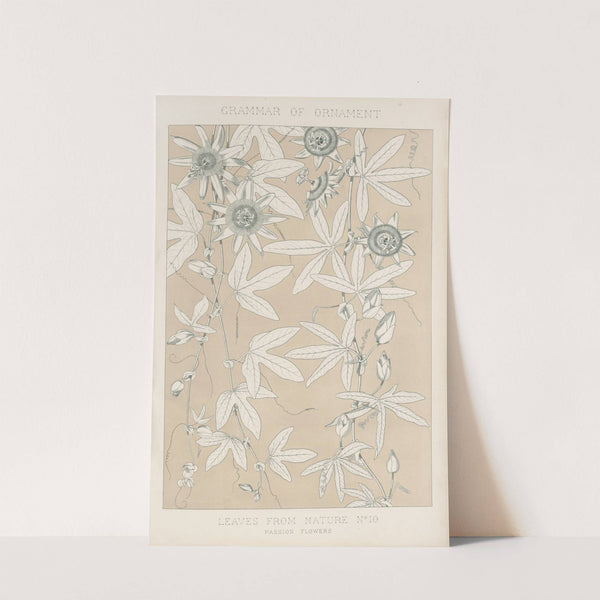 Leaves from Nature No. 10 (1856) by Owen Jones