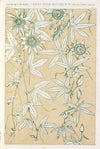 Leaves from Nature No.10