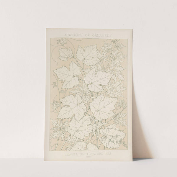 Leaves from Nature No. 2 (1856) by Owen Jones