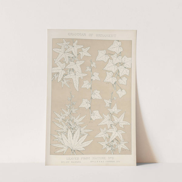 Leaves from Nature No. 3 (1856) by Owen Jones