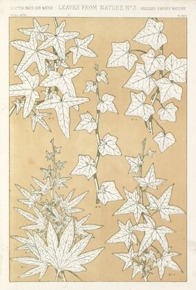 Leaves from Nature No.3