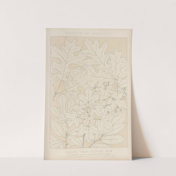 Leaves from Nature No. 4 (1856) by Owen Jones