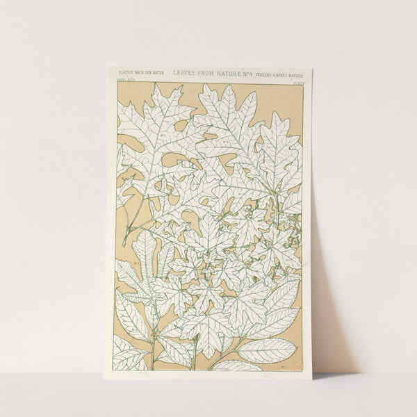 Leaves from Nature No.4 (1856) by Owen Jones