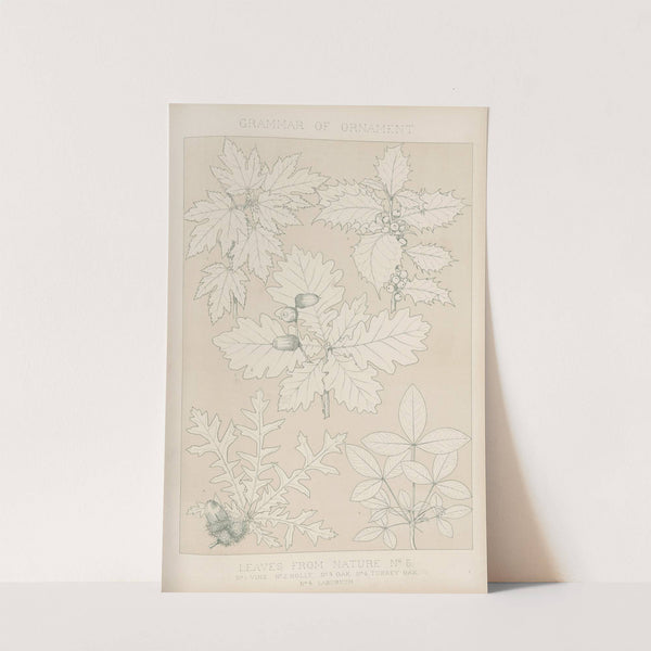 Leaves from Nature No. 5 (1856) by Owen Jones