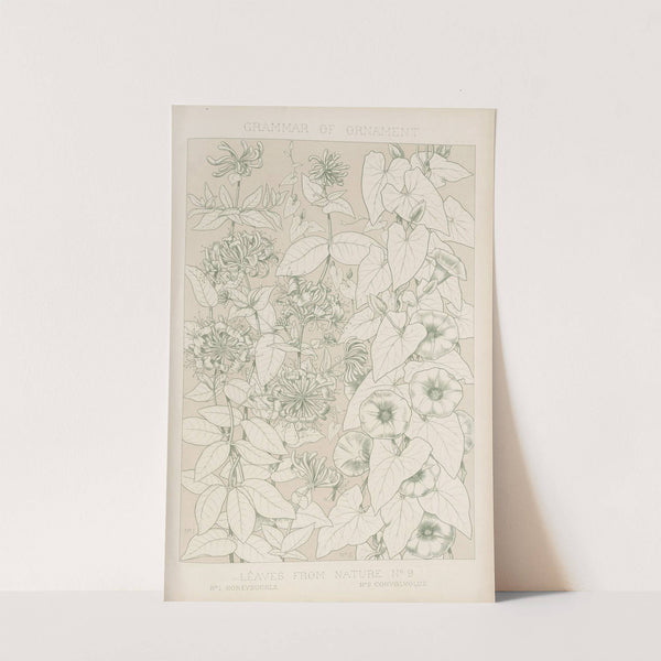 Leaves from Nature No. 9 (1856) by Owen Jones