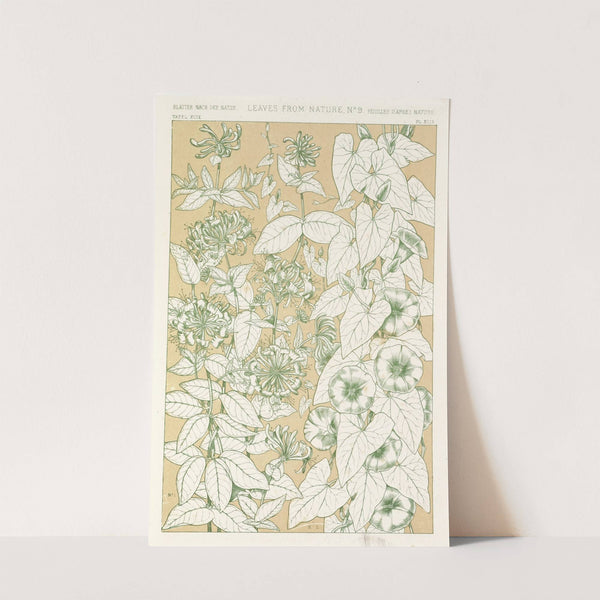 Leaves from Nature No.9 (1856) by Owen Jones