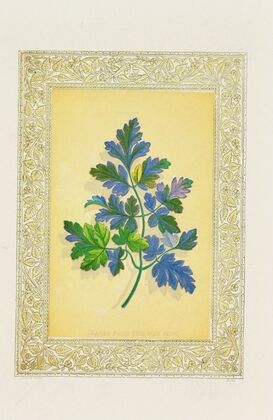 Leaves from the way side (1869)