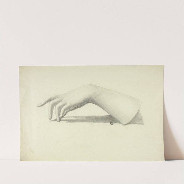 Left Forearm and Hand by Elizabeth Murray