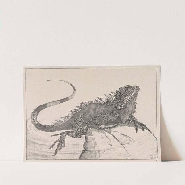 Leguaan op een steen in water by Theo van Hoytema