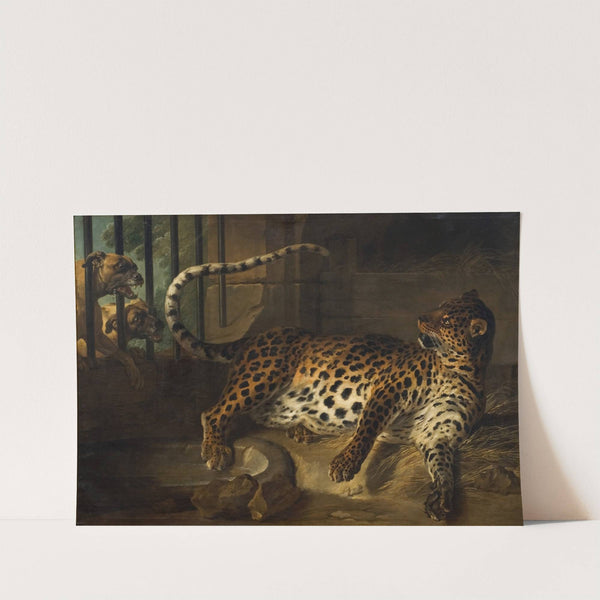 Leopard in a Cage confronted by two Mastiffs by Jean-Baptiste Oudry