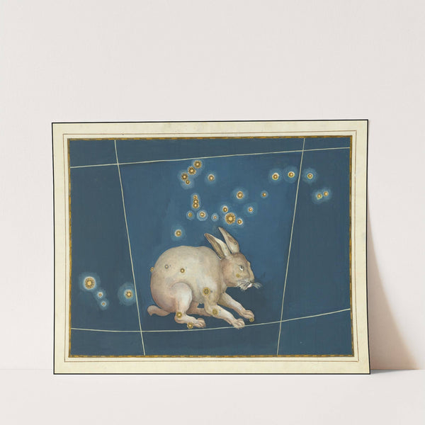 Lepus (1624) by Johann Bayer