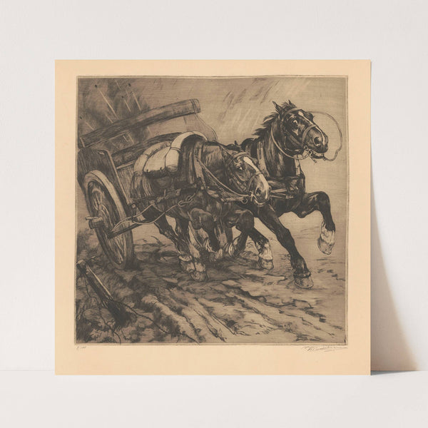 Indus & Pavo (1730) by Corbinian Thomas