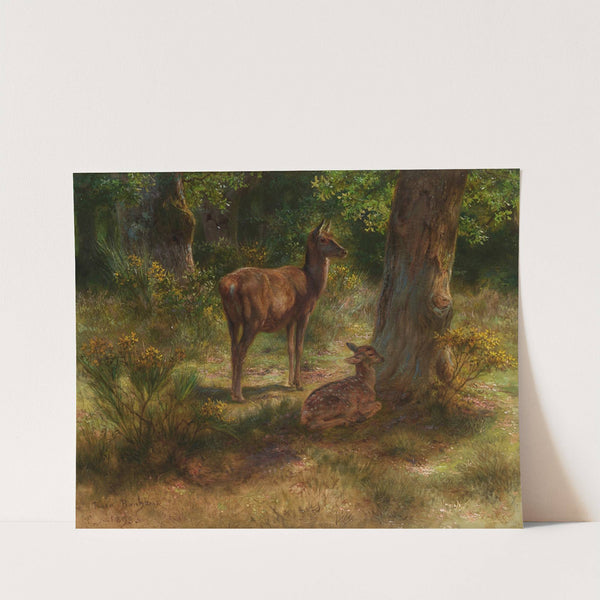 Les Cerfs Et Les Fauves Dans Un Bois by Rosa Bonheur