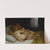 Les enfants endormis (1868) by William Bouguereau