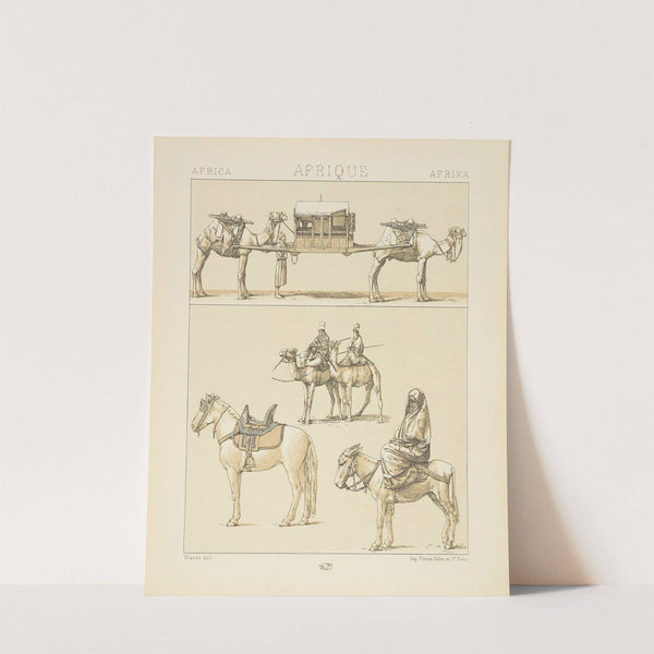 Les montures et les animamaux de transport;le Touareg, une femme égyptienne en costume de ville (1876-1888) by Auguste Racinet