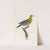Les pigeons Pl.01 by Coenraad Jacob Temminck