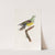 Les pigeons Pl.08 by Coenraad Jacob Temminck