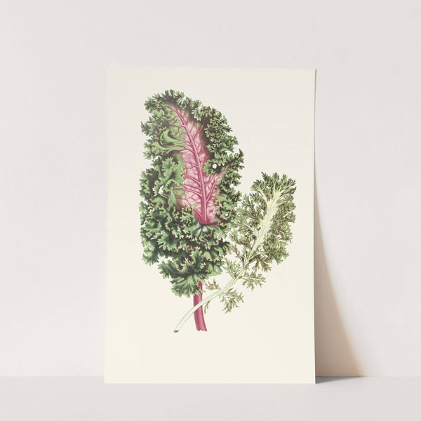 Lesplantesfeuill02lowe (0370_1867-1870) by Edward Joseph Lowe