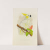 Lesser Lemon-Crested Cockatoo (1884-1887) by Alexander Francis Lydon