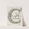 Letter C (1645-1650) by Jeremias Falck