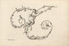 Letter U (1745-1765)