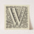 Letter W in een omlijsting met bloemen (1600)