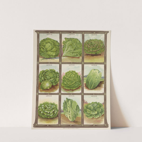 Lettuce (1921) by Genesee Valley Lithograph Co.