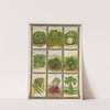 Lettuce, Mustard, Asparagus, Rhubarb, Brussel Sprouts (1921) by Genesee Valley Lithograph Co.
