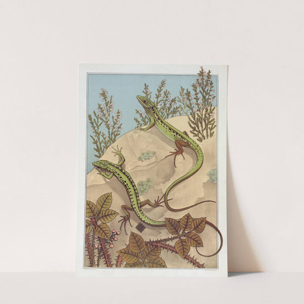Lézard by Maurice Pillard Verneuil