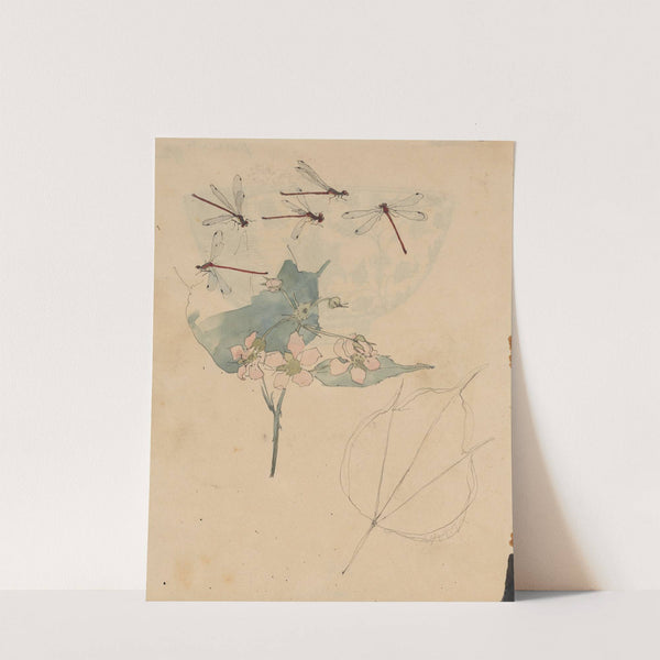 Libellen boven bloesem by Theo Nieuwenhuis