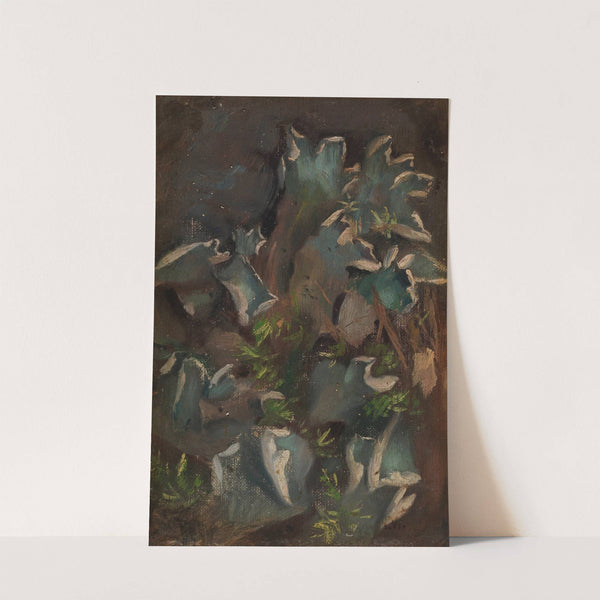 Lichen by Torsten Wasastjerna