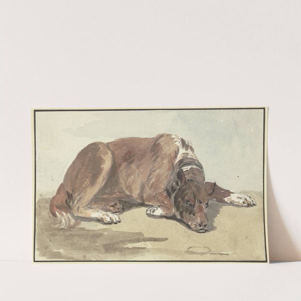 Liegende Dogge, den Kopf auf den Boden gelegt by Conrad Gessner