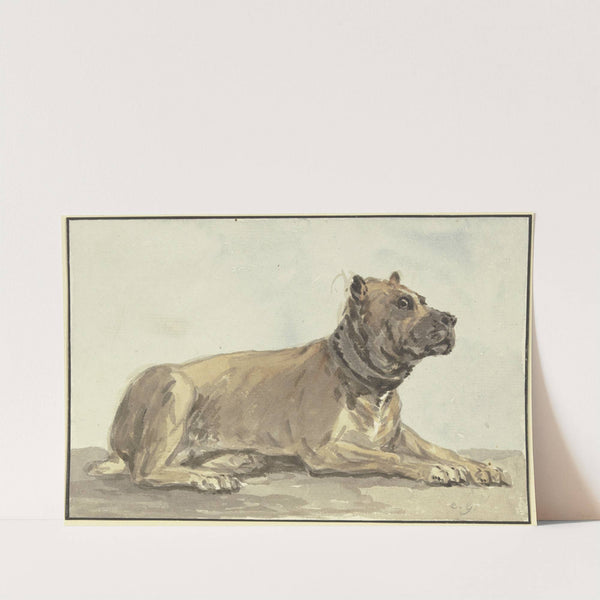 Liegende Dogge, den Kopf erhoben by Conrad Gessner