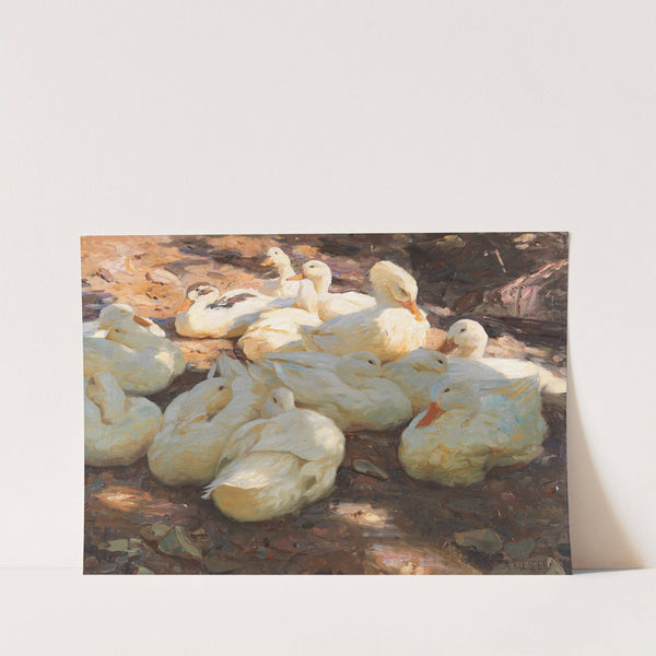 Liegende Enten – Licht und Schatten (Ca. 1915-1932) by Alexander Koester