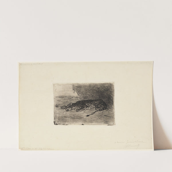 Liegender Tiger am Eingang seiner Höhle (ca 1828-1830) by Eugène Delacroix