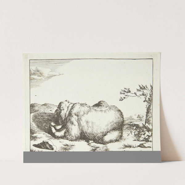 Liggende bjørn, set i profil, drikkende fra en skål by Marcus de Bye