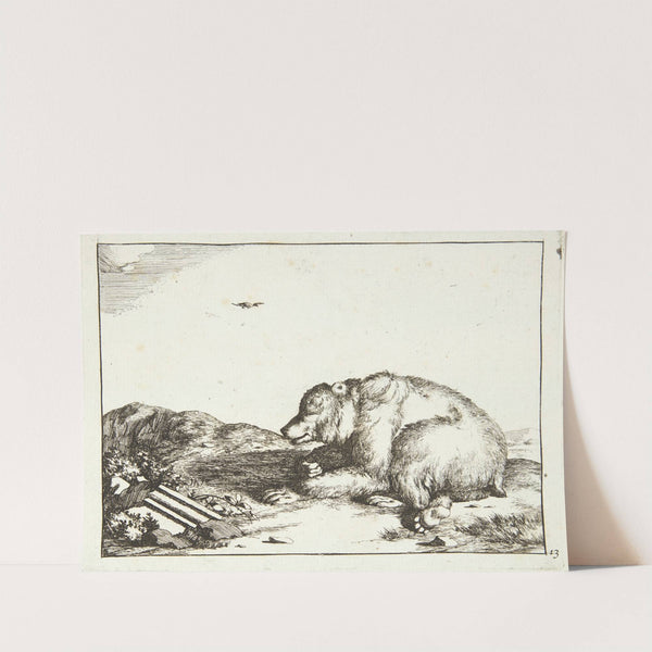 Liggende bjørn, vendt mod venstre by Marcus de Bye