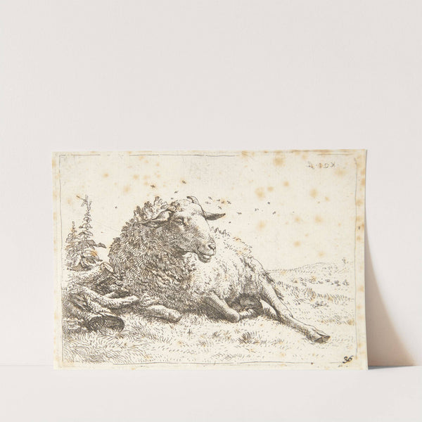 Liggende får ved en træstub by Karel Dujardin