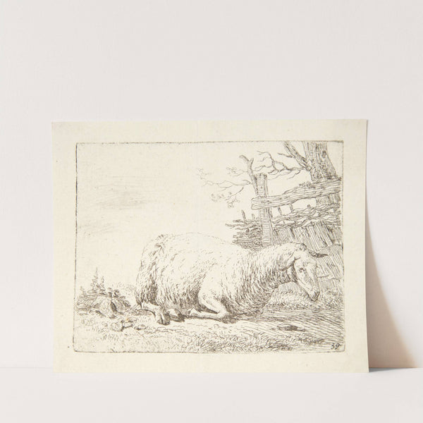 Liggende får ved et hegn by Karel Dujardin