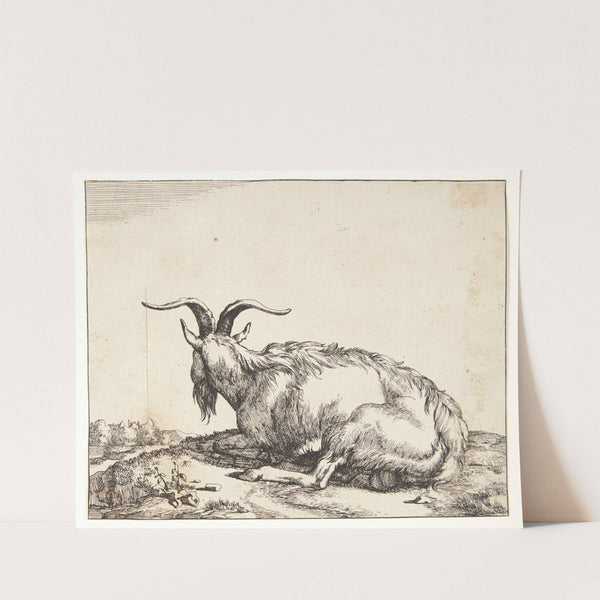 Liggende ged by Marcus de Bye