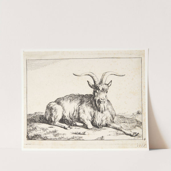 Liggende ged by Marcus de Bye